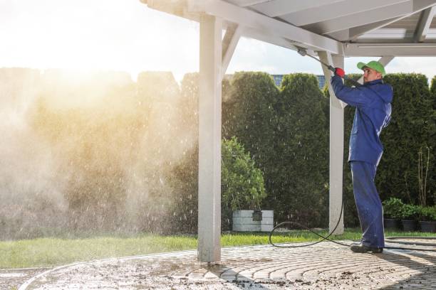Best Sidewalk and Walkway Cleaning  in Lyons, CO
